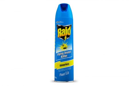Raid Odourless Insect Spray 350G