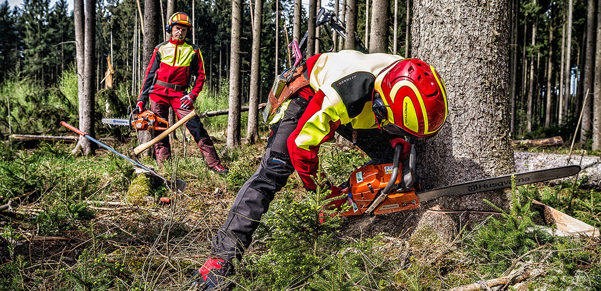 Forestry