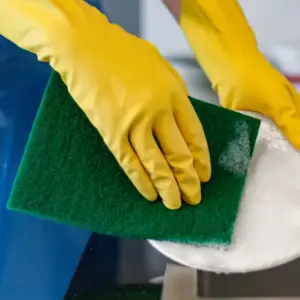 Scouring Pad General Purpose CTN(100)  1000/112