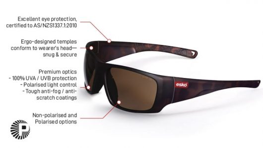 Esko Polarised Destination Safety Glasses