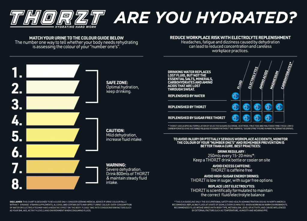 Thorzt info sheet about heat stress and Hydration
