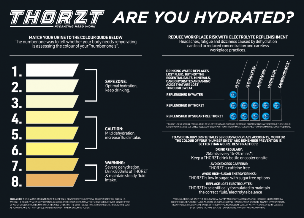 Thorzt info sheet about heat stress and Hydration