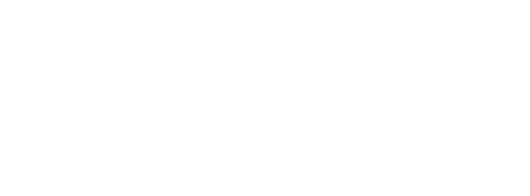 Pioneer Energy Grey(1241) logo – Embroidery