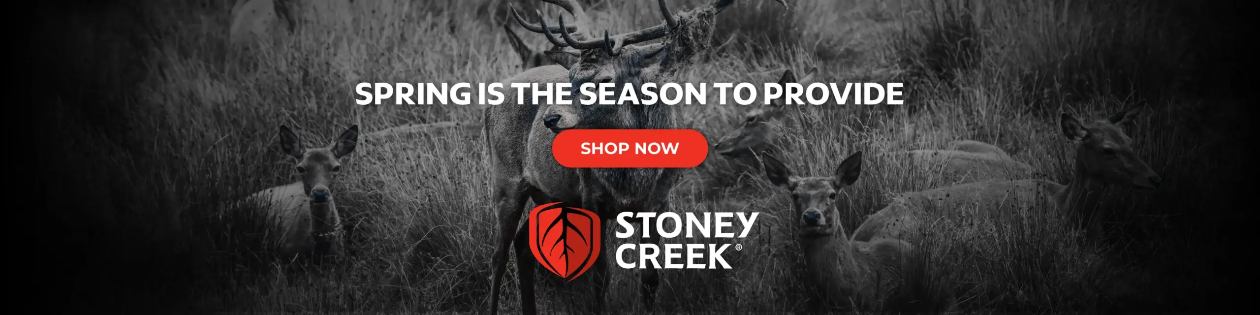 stoney creek spring 2026 home banner